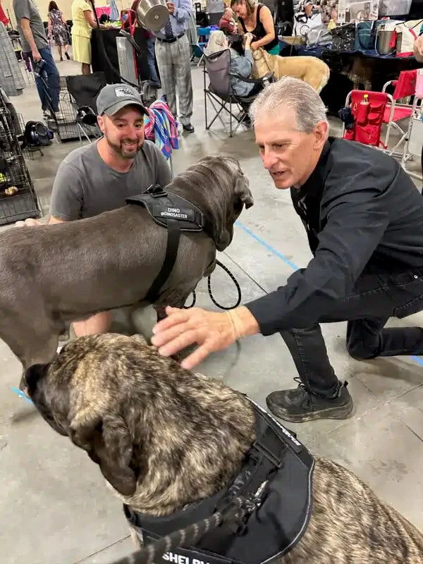 Finding a reputable giant dog breeder