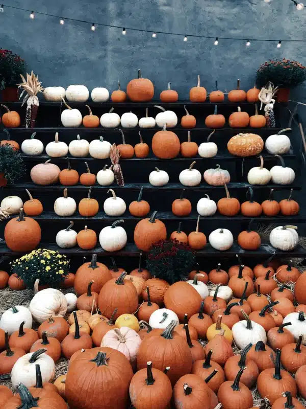 It’s Almost Fall Y’all