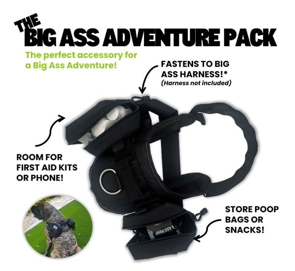 Big Ass Adventure Pack