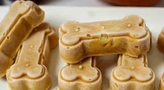 Refreshing and Nutritious Frozen Dog Treats