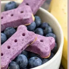Blueberry Banana Treats