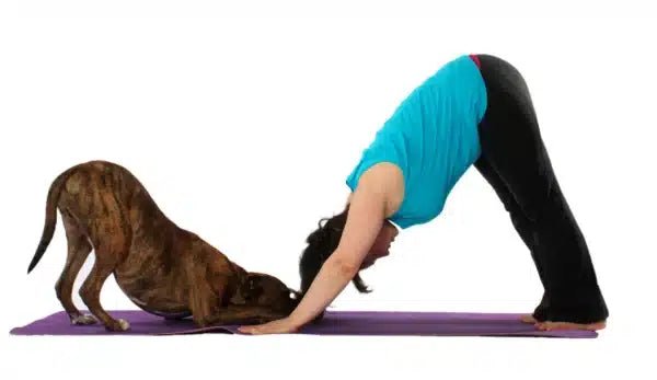 April Newsletter Exercise - Big Ass Dog Company