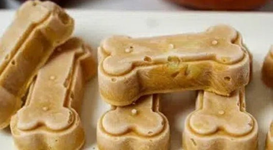 Refreshing and Nutritious Frozen Dog Treats - Big Ass Dog Company