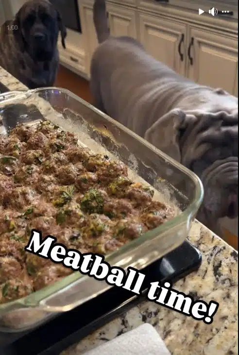 Turkey and Sweet Potato Meatballs - Big Ass Dog Company