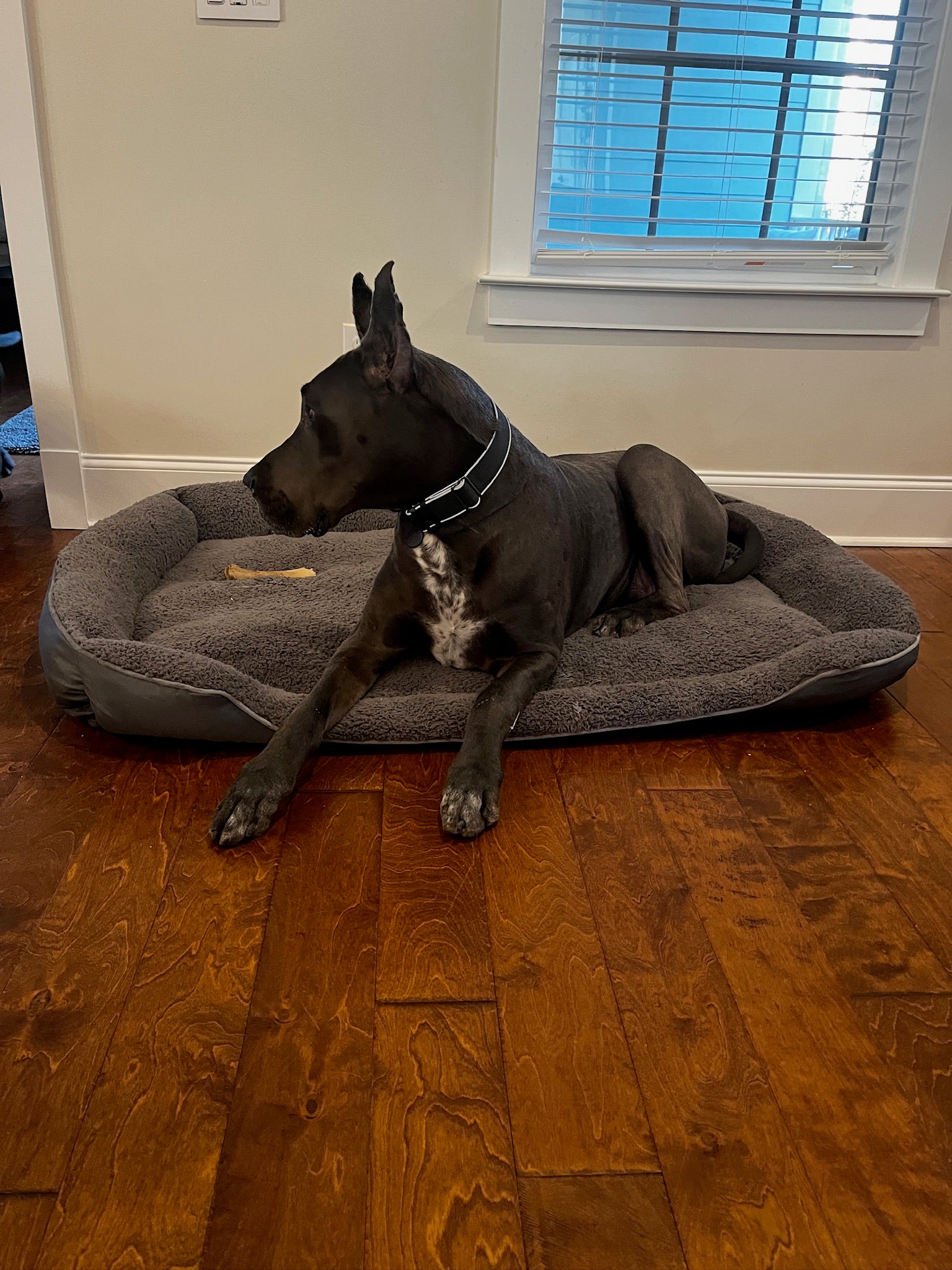 Big Ass Bed v3