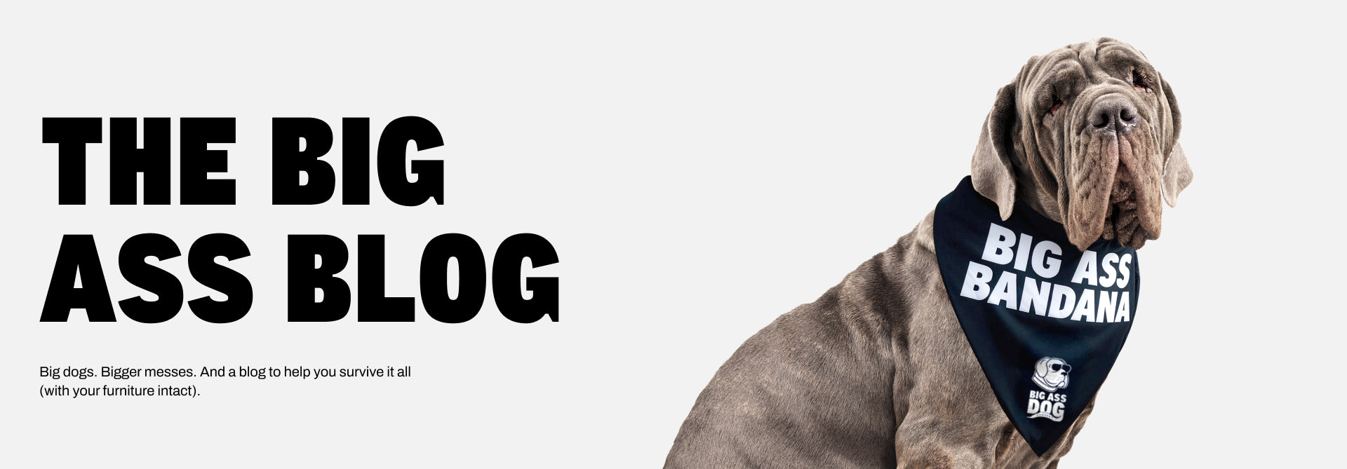 The Big Ass Blog