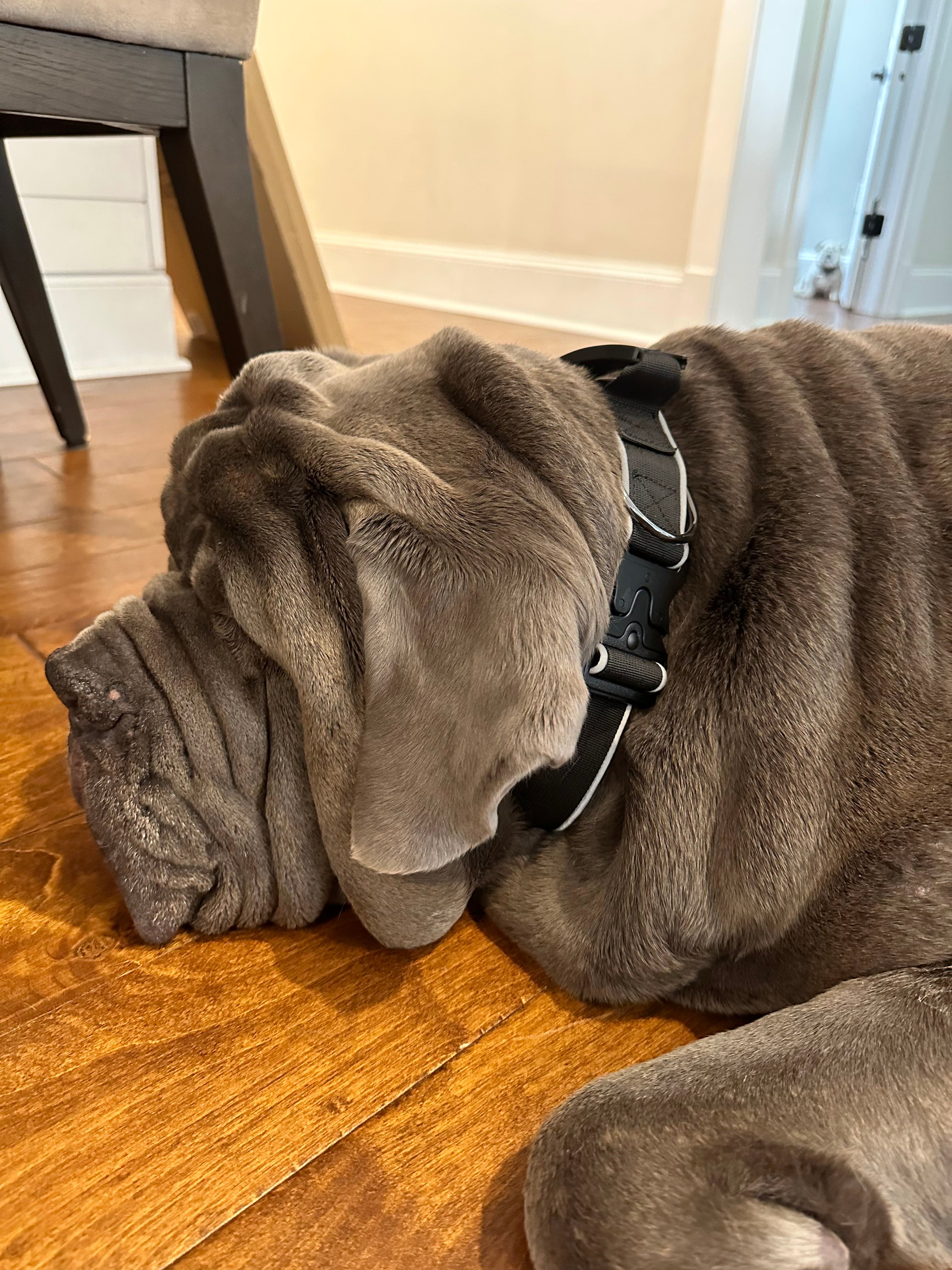 Big Ass Tactical Collar
