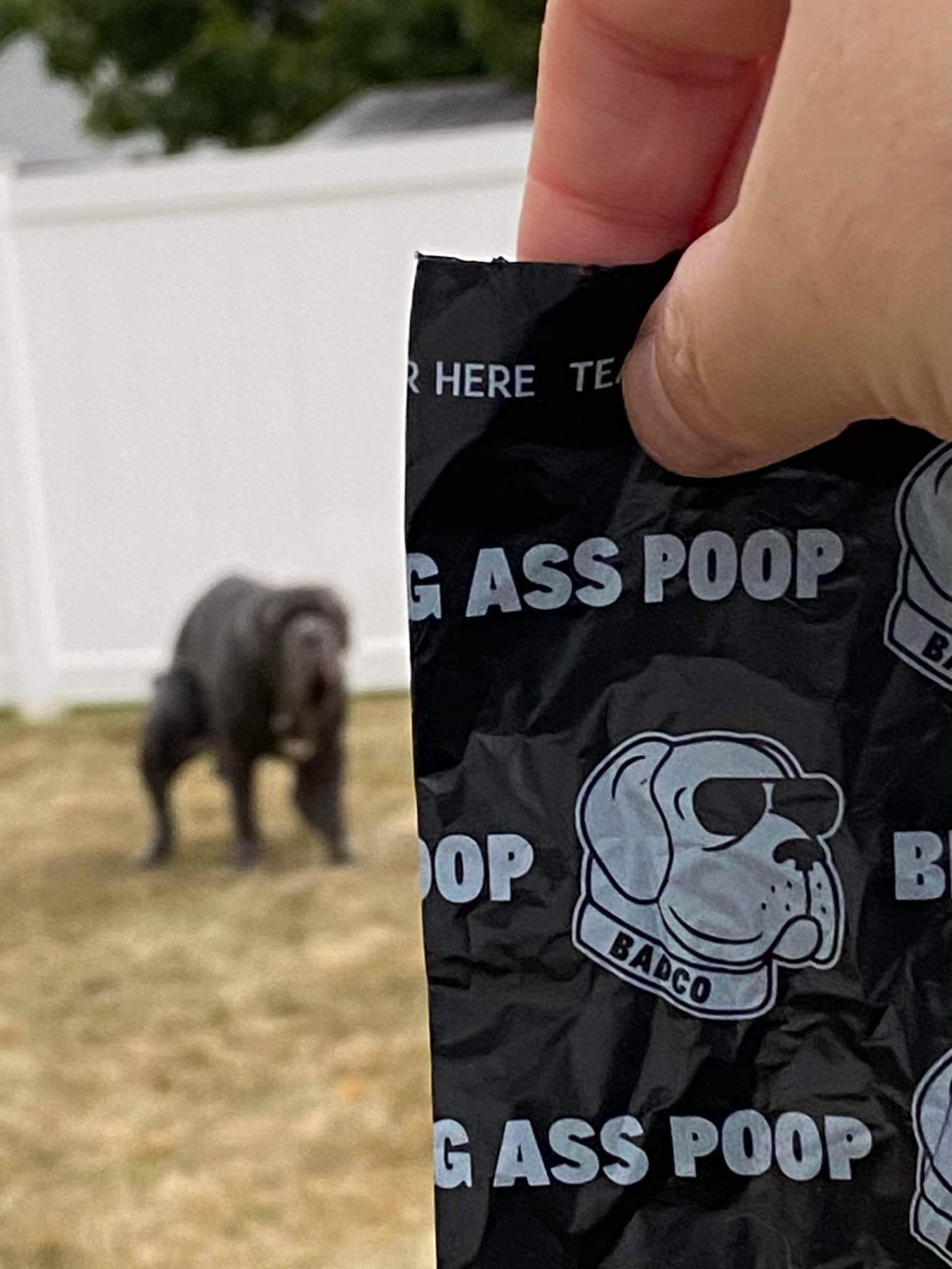 Big Ass Poop Bags