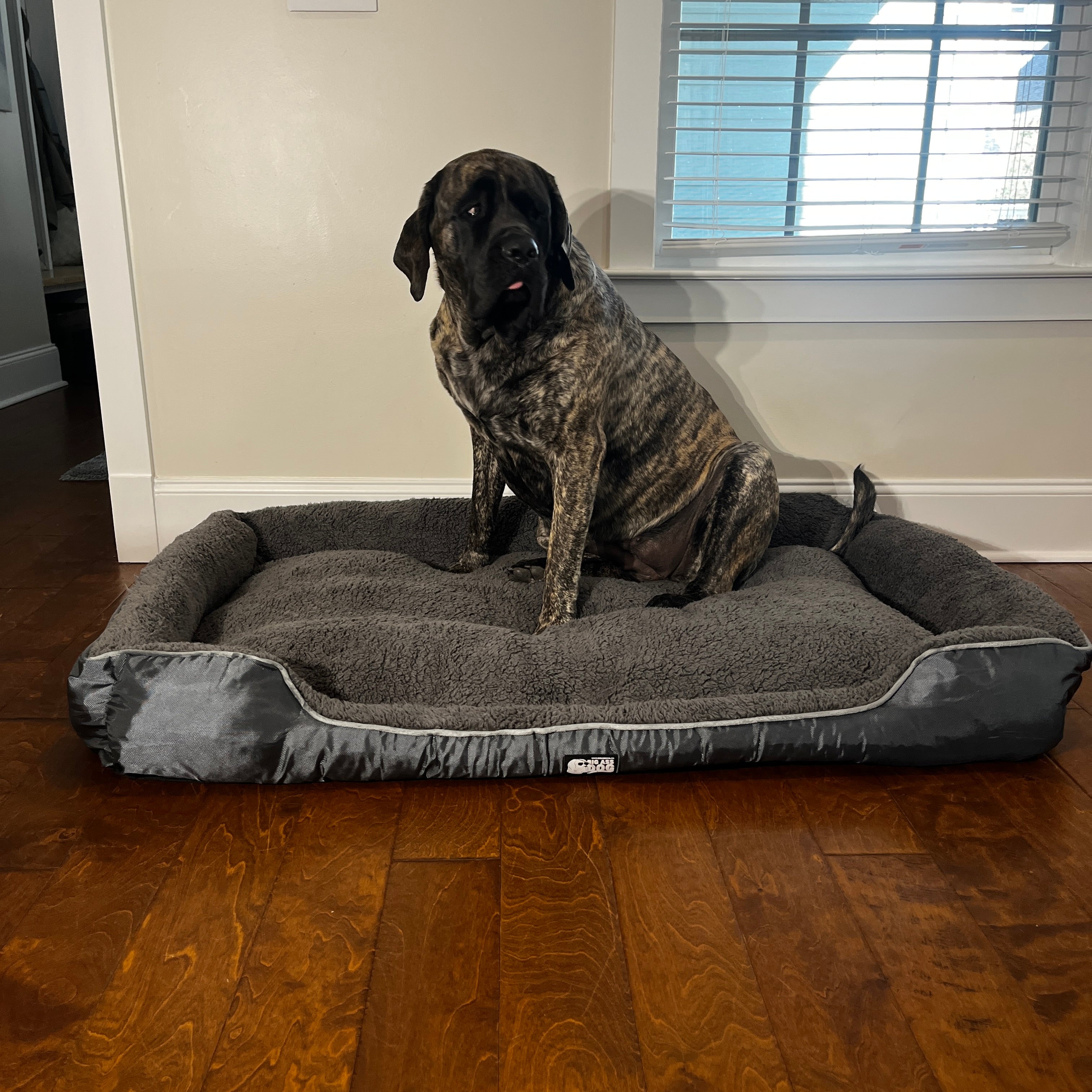Big Ass Bed v3