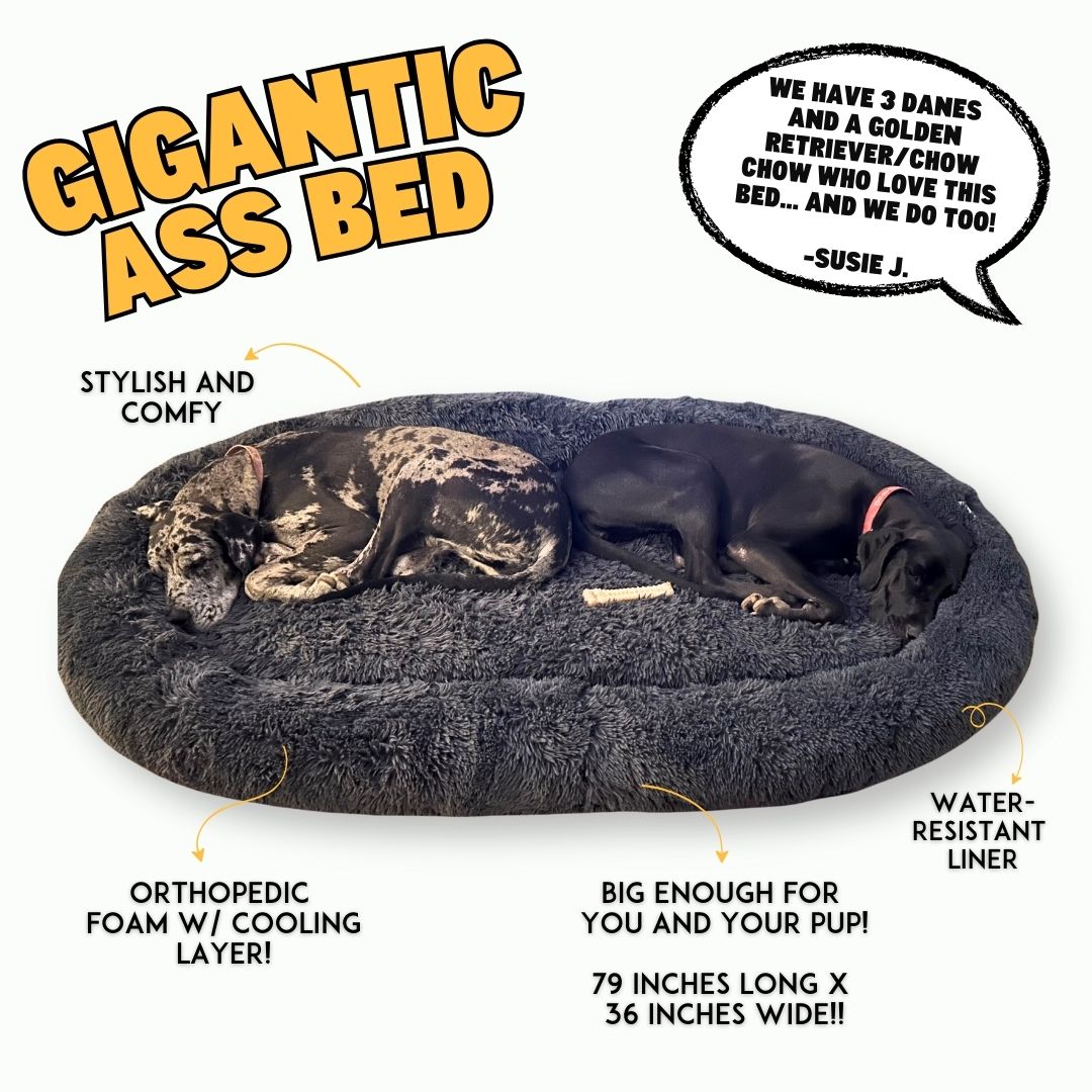 GIGANTIC ASS BED