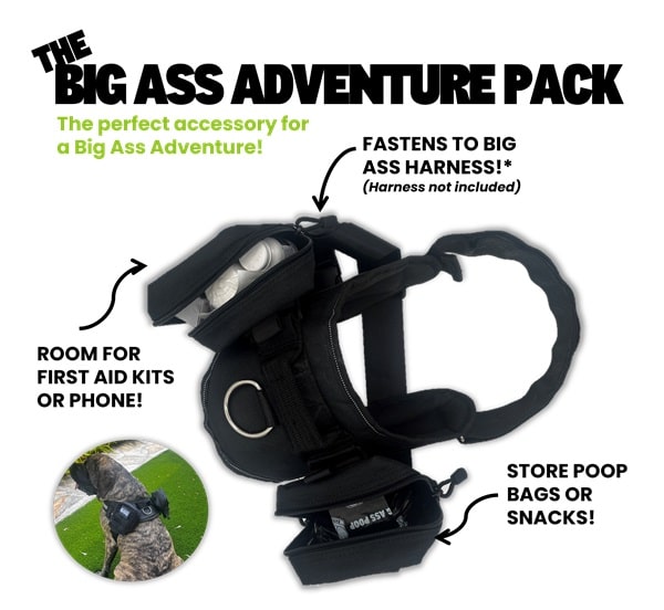 Big Ass Adventure Pack