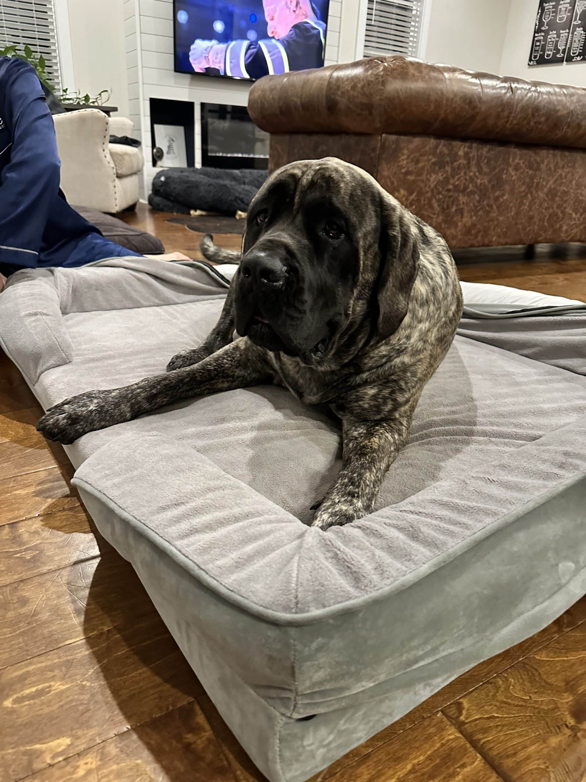 Big Ass Bolster Bed