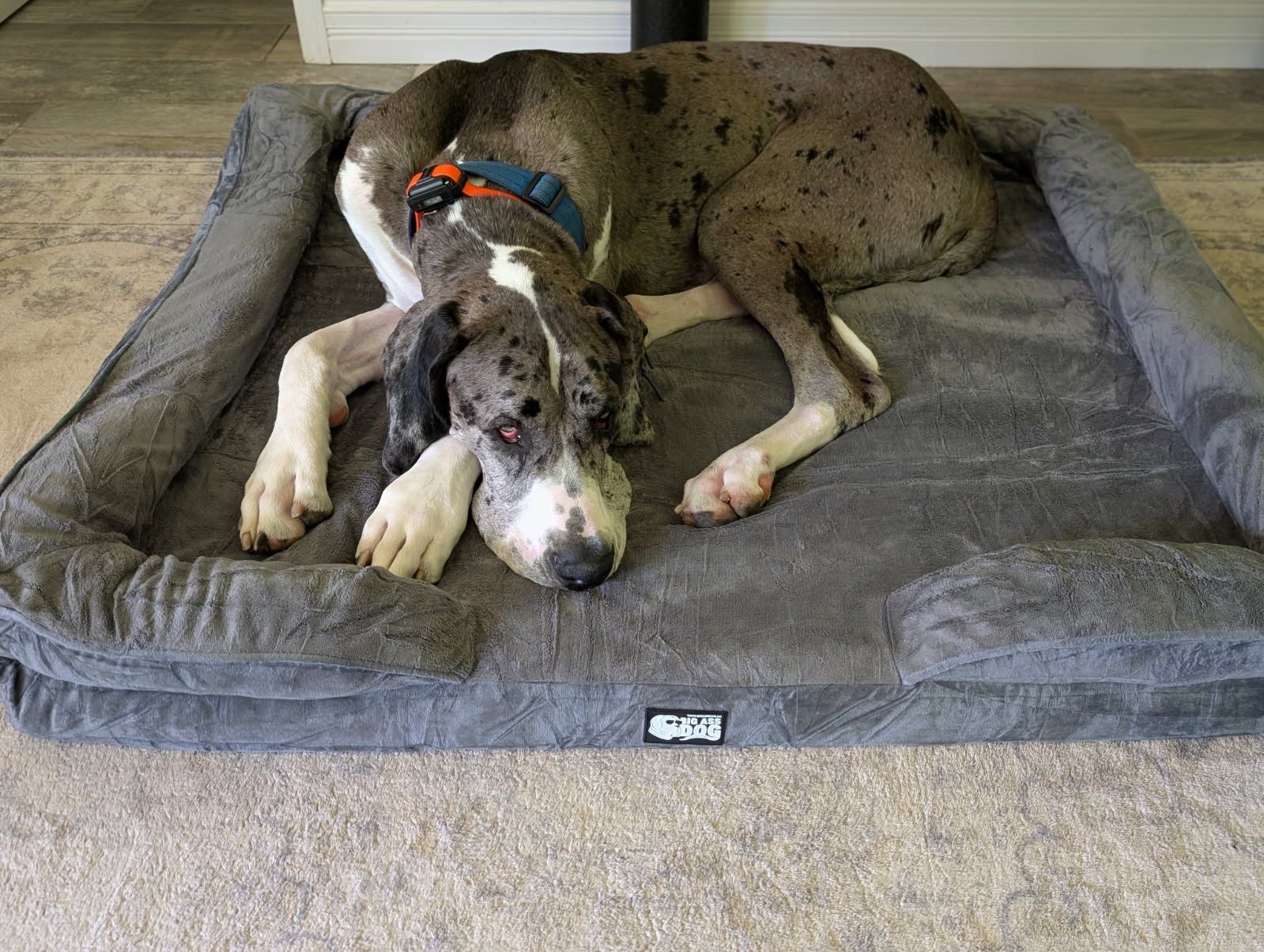 Big Ass Bolster Bed