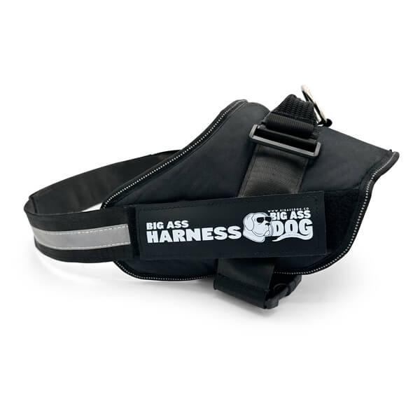 Big Ass Harness
