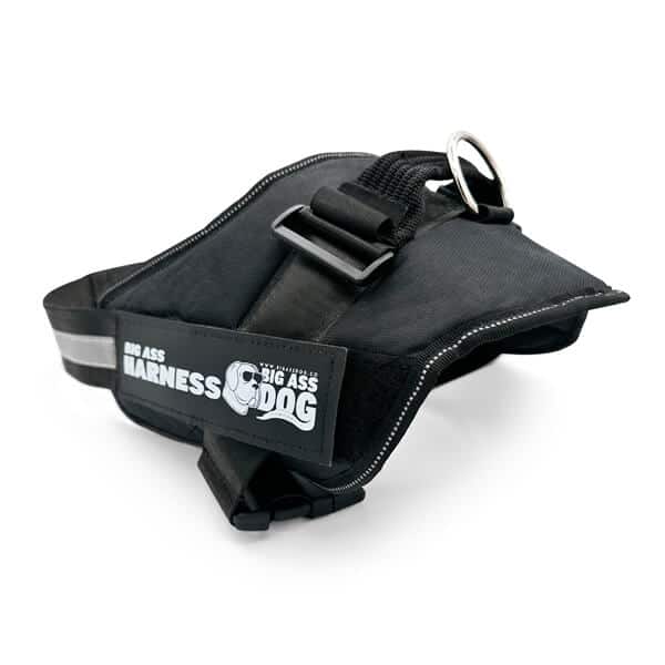 Big Ass Harness