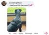 Big Ass Harness Big Ass Dog Company
