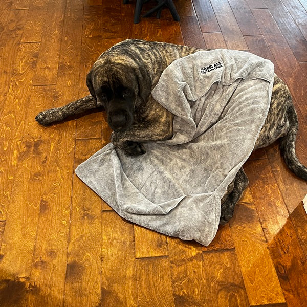 Big Ass Bath Towel