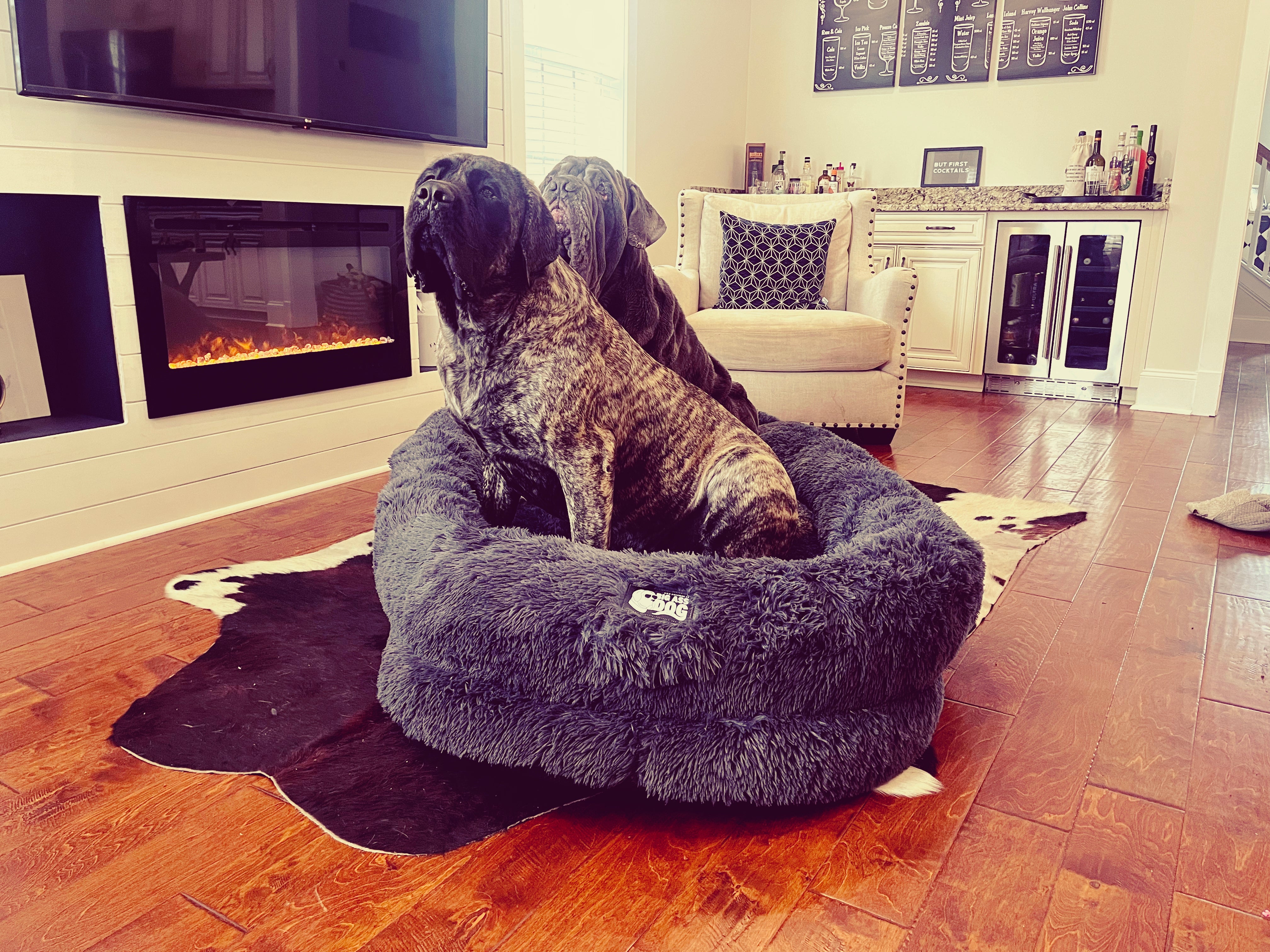 Gigantic Ass Bed