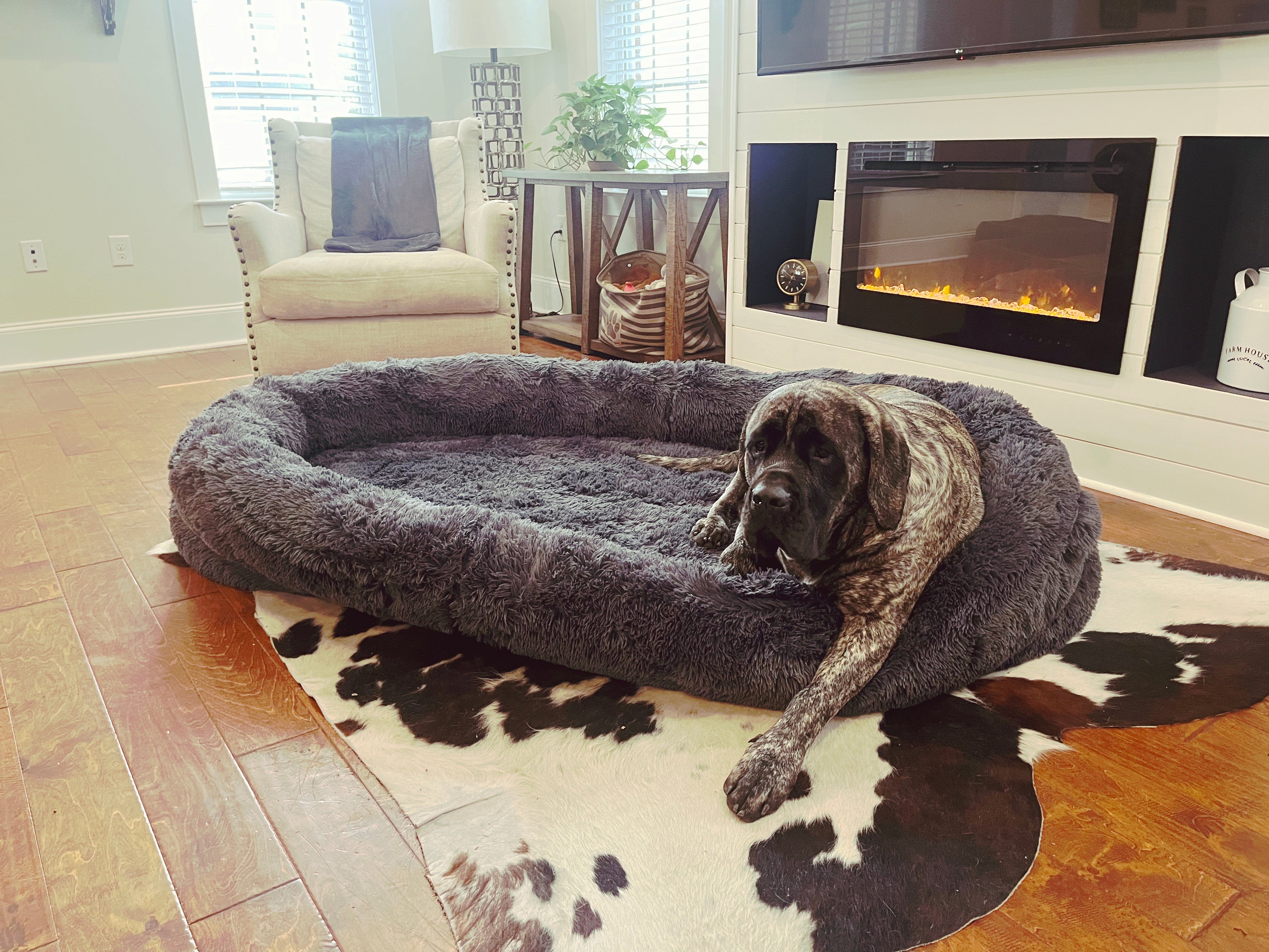 Gigantic Ass Bed