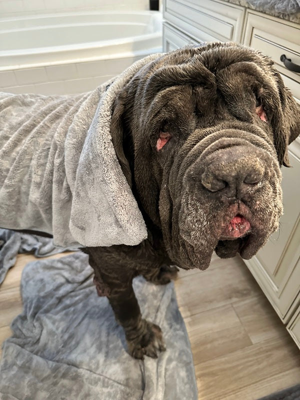 Big Ass Bath Towel
