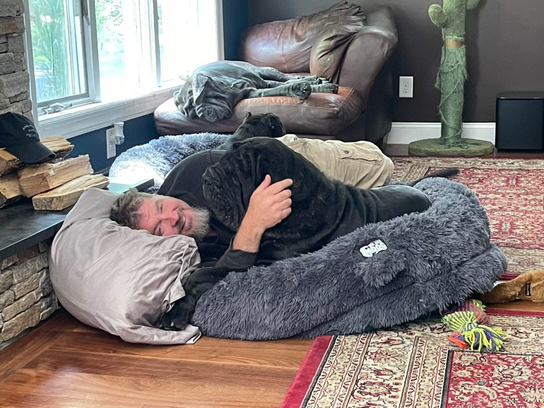 Gigantic Ass Bed