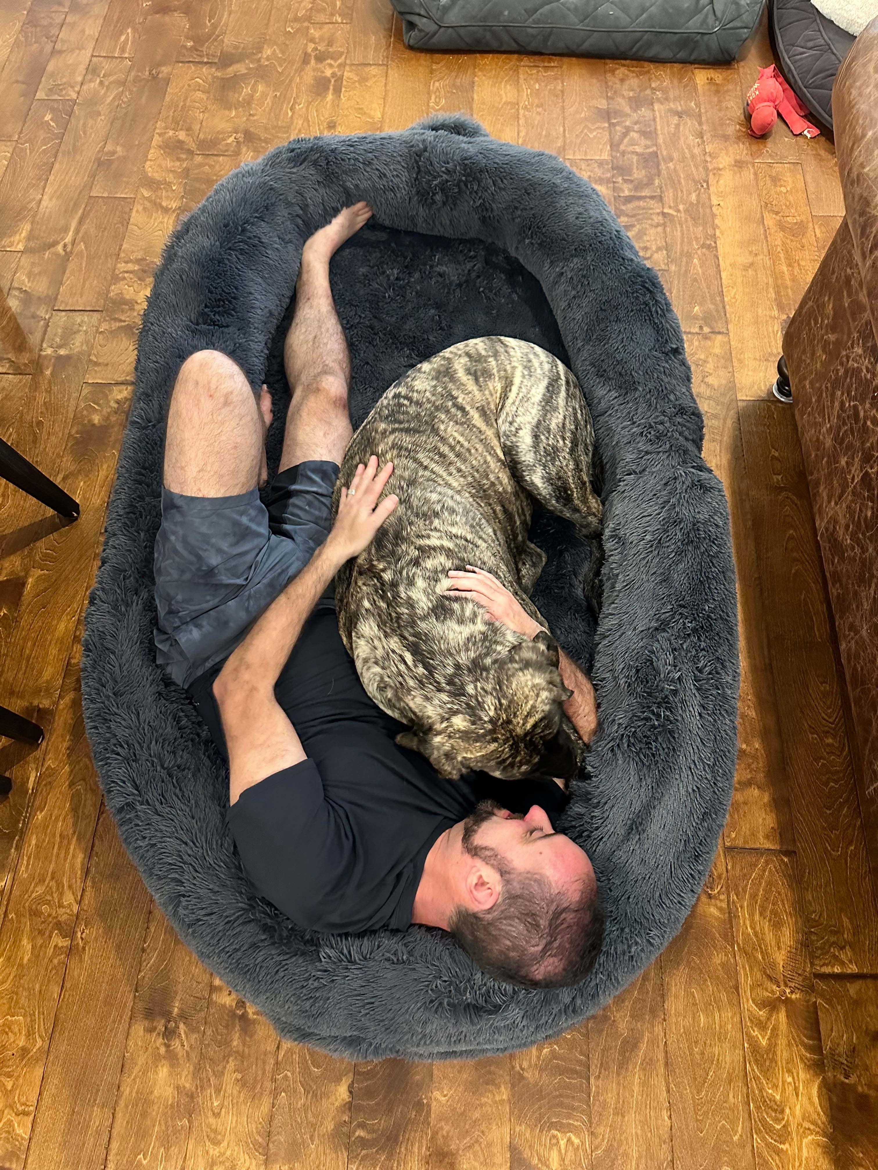 Gigantic Ass Bed