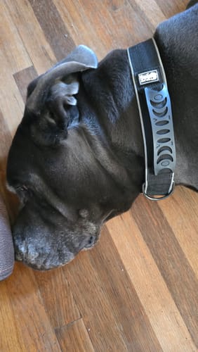 Hemi