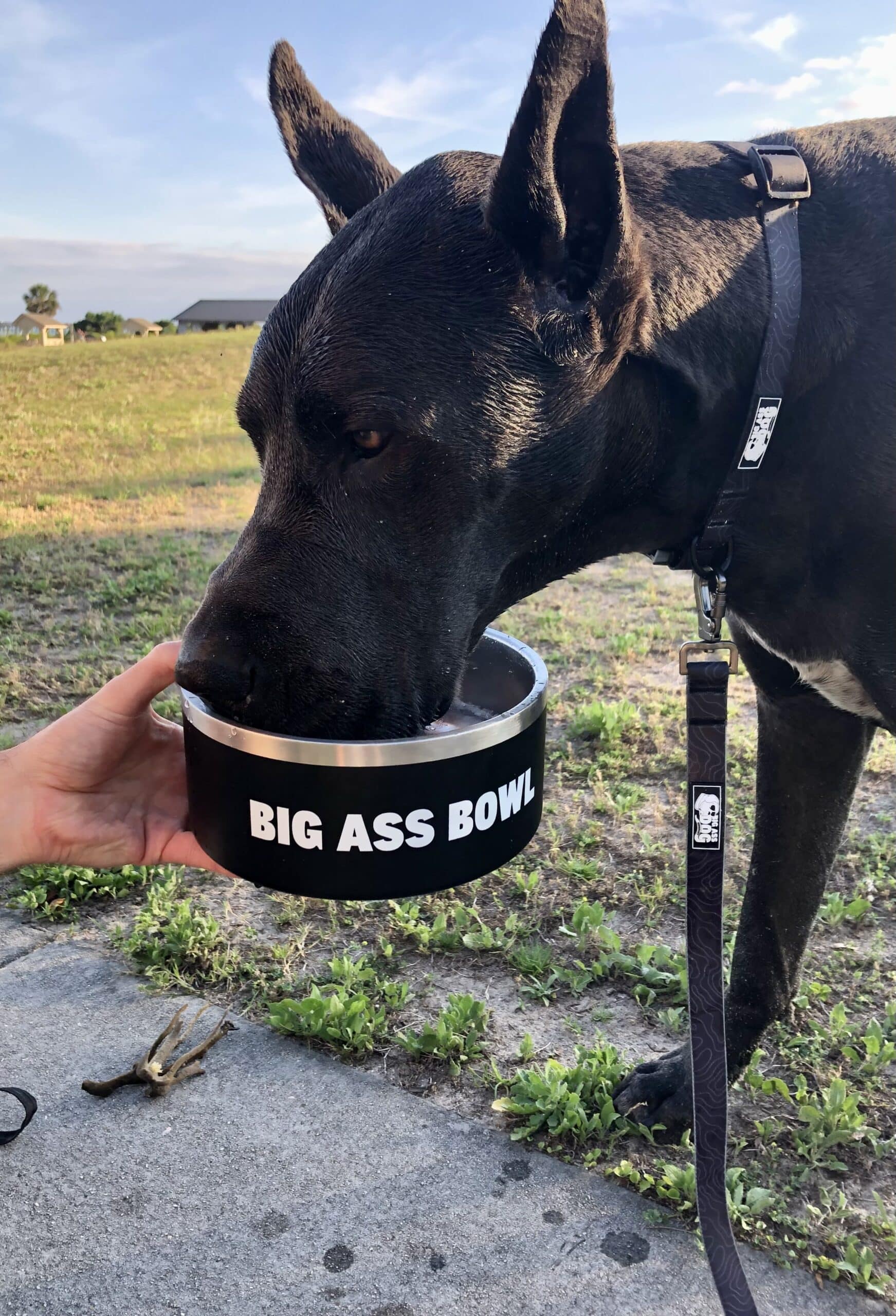 Big Ass Leash & Collar Combo