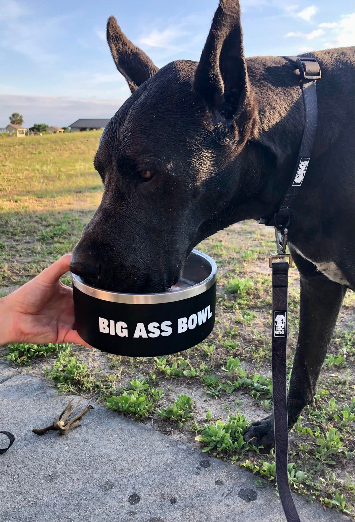 BIG ASS BOWL