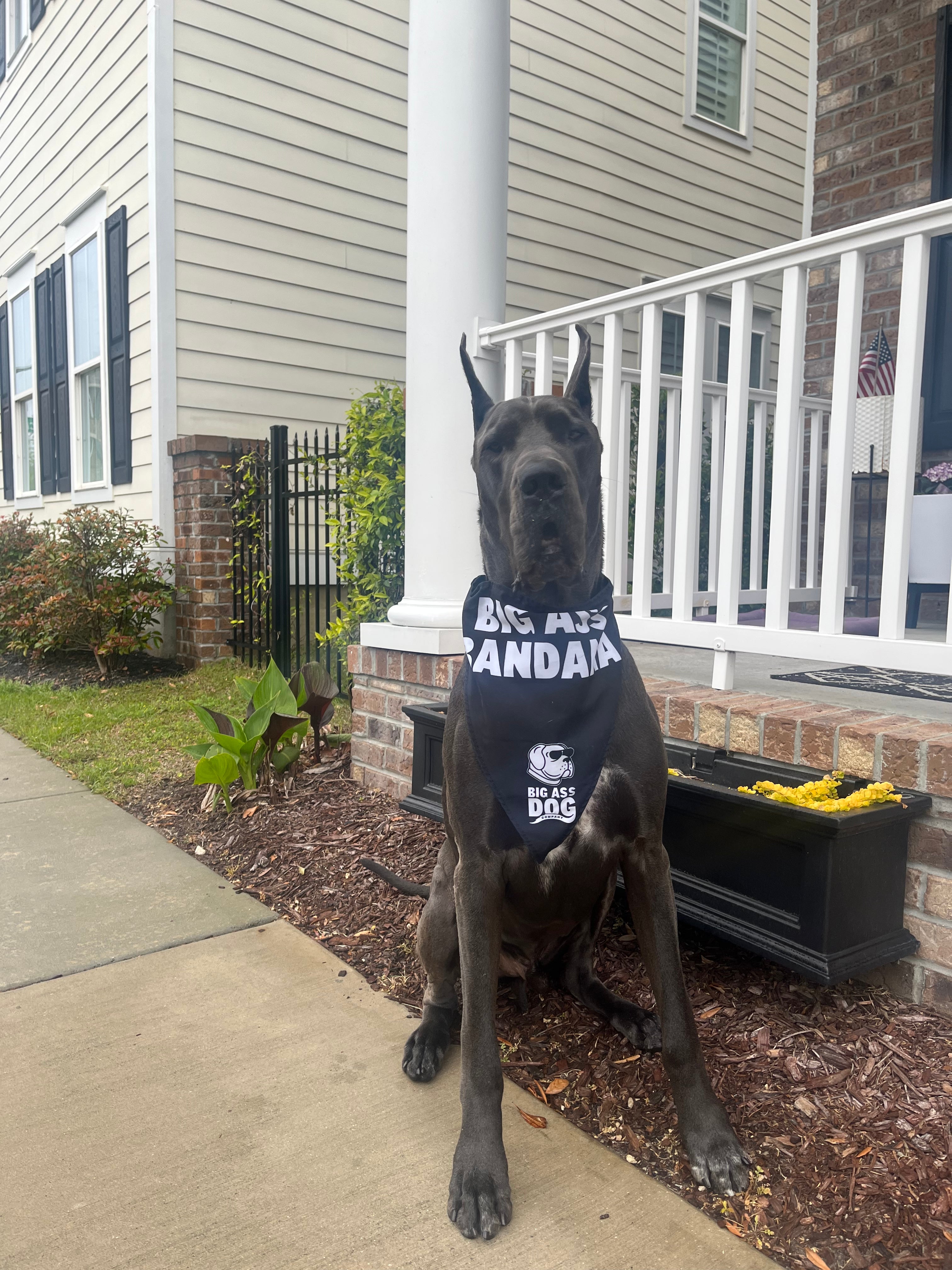 Big Ass Bandana