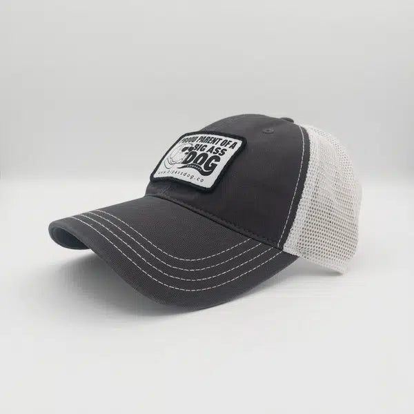 Proud Parent Hat
