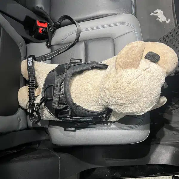 Big Ass Seatbelt Restraint