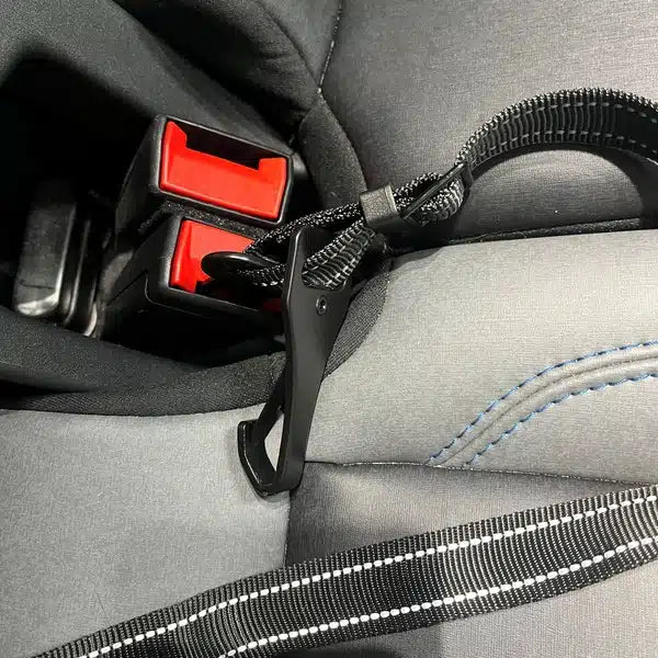 Big Ass Seatbelt Restraint