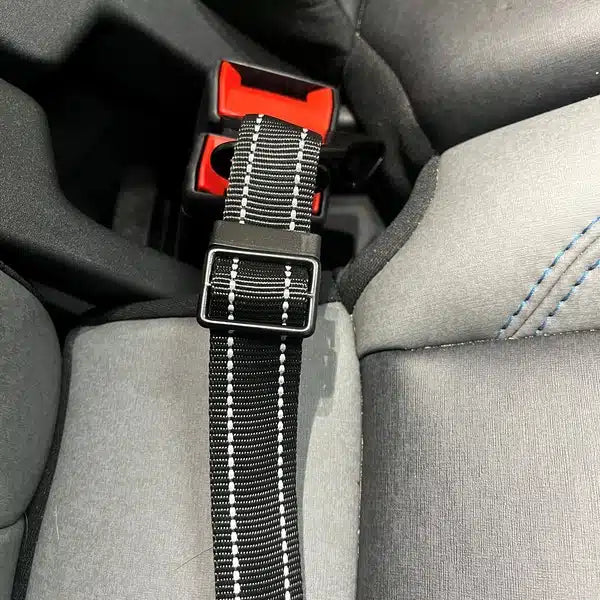Big Ass Seatbelt Restraint