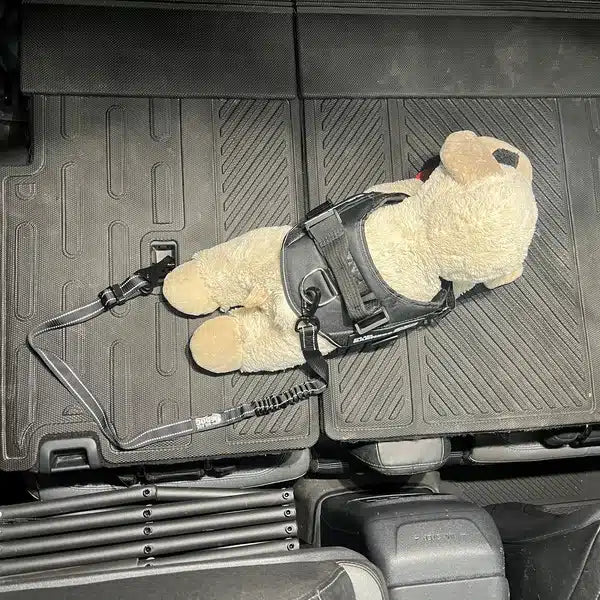 Big Ass Seatbelt Restraint