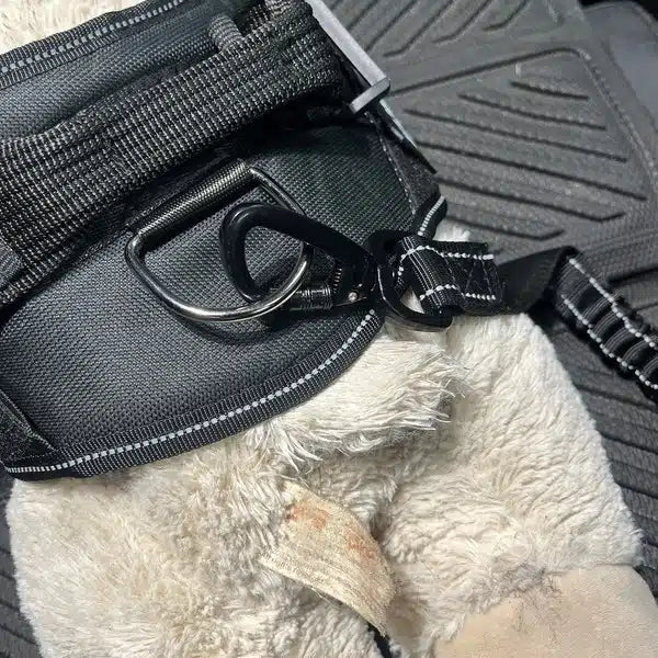 Big Ass Seatbelt Restraint