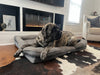 Big Ass Bolster Bed Big Ass Dog