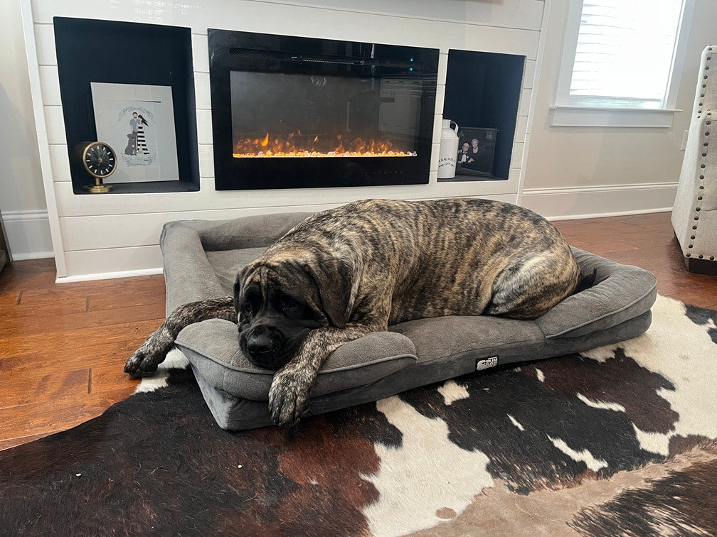 Big Ass Bolster Bed