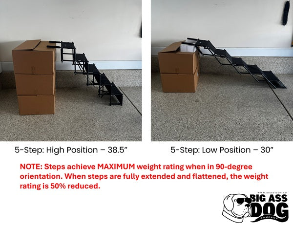Big Ass Steps