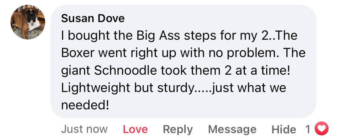 Big Ass Steps