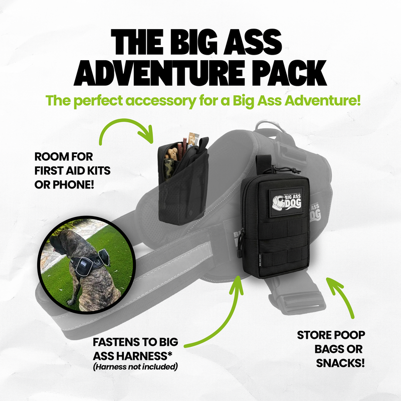 Big Ass Adventure Pack