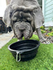 Big Ass Adventure Essentials - Big Ass Dog Company