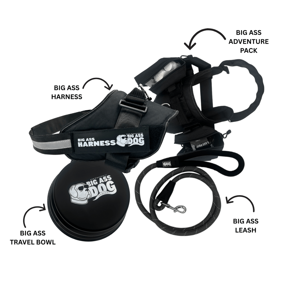 Big Ass Adventure Essentials - Big Ass Dog Company