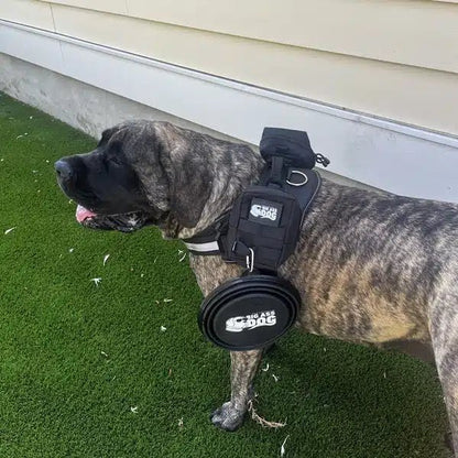 Big Ass Adventure Pack - Big Ass Dog Company