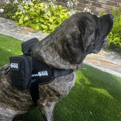 Big Ass Adventure Pack - Big Ass Dog Company