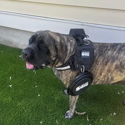 Big Ass Adventure Pack - Big Ass Dog Company