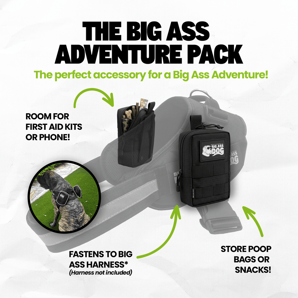 Big Ass Adventure Pack - Big Ass Dog Company