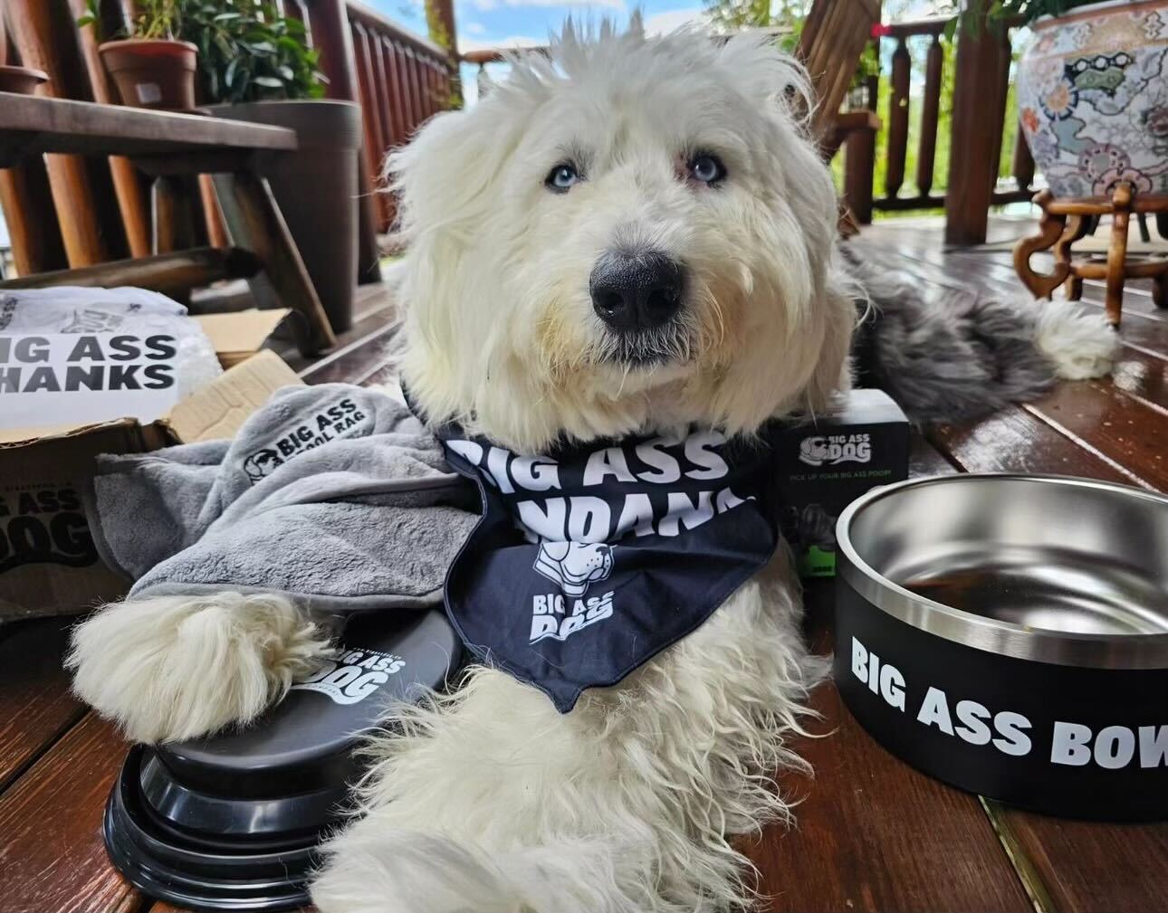 Big Ass Bandana - Big Ass Dog Company