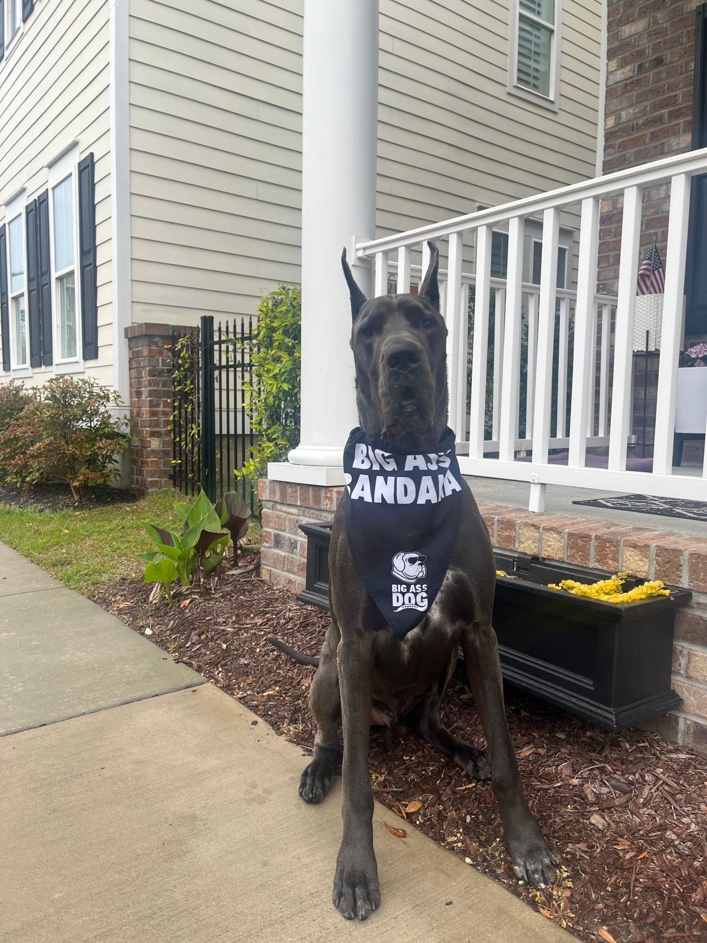 Big Ass Bandana - Big Ass Dog Company