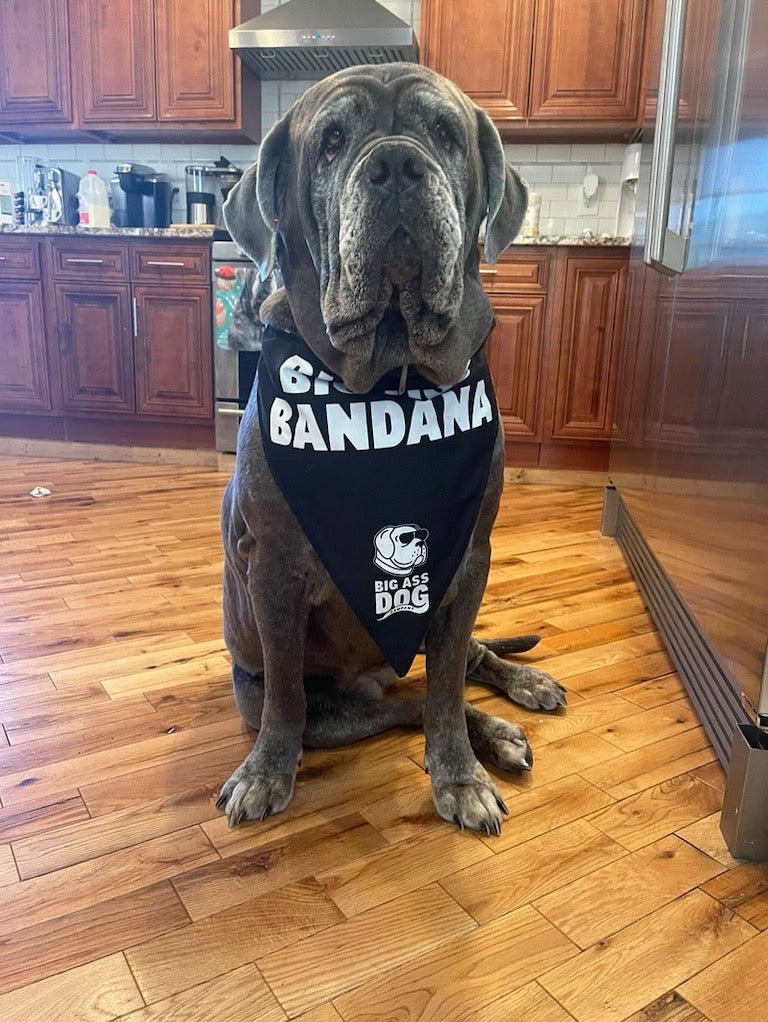 Big Ass Bandana - Big Ass Dog Company